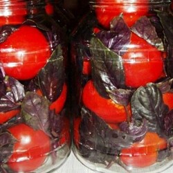 Маринованные помидоры по-итальянски — закуска потрясающей нежности. Идеальный баланс сладости и остроты.