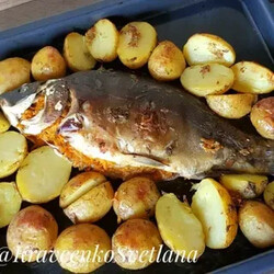 карп в духовке с картошкой