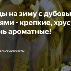 Огурцы на зиму с дубовыми листьями - крепкие, хрустящие и очень ароматные!