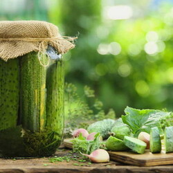 Малосольные огурцы в банке - 8 быстрых рецептов с чесноком и укропом с пошаговыми фото