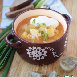 Суп с солёными зелёными помидорами