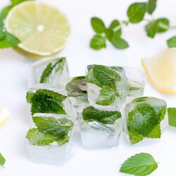Как заморозить мяту - рецепт с пошаговыми фото | Меню недели