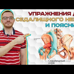 Упражнения для седалищного нерва и поясницы.