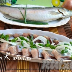 Сельдь пряного посола в домашних условиях - 9 пошаговых фото в рецепте