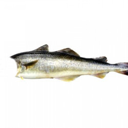 Навага под маринадом