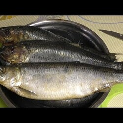 СЕЛЁДКА МАРИНОВАННАЯ С ЛУКОМ, МАЛОСОЛЬНАЯ СЕЛЁДКА В ДОМАШНИХ УСЛОВИЯХ,