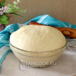 Дрожжевое тесто в хлебопечке для пирогов — рецепт с фото