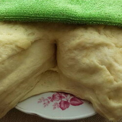 Дрожжевое тесто для пирога – 10 самых лучших рецептов в духовке с пошаговыми фото