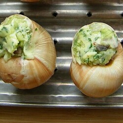 Escargot Mushrooms