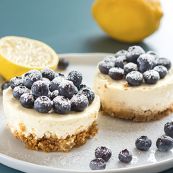 Lemon Cheesecake | SousVide Supreme Blog