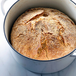 No-Knead Bread Recipe