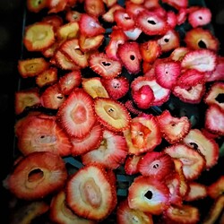 Easy Air Fryer Dehydrated Strawberries - Daily Yum