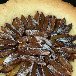 Zwetschekuchen (German Plum Tart)