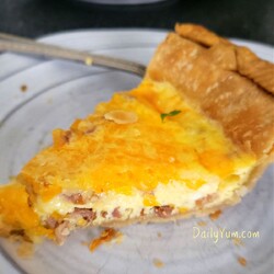 Bacon, Egg & Cheese Air Fryer Quiche - Daily Yum