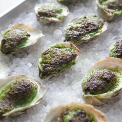 Oysters Rockefeller Recipe