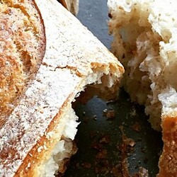 Bread's Gone Stale? We've Got The Cure