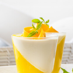 Mango Panna Cotta