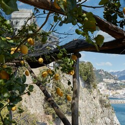 How to Make Limoncello: the Italian Recipe