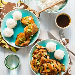 Sous Vide Hawaiian Shoyu Chicken