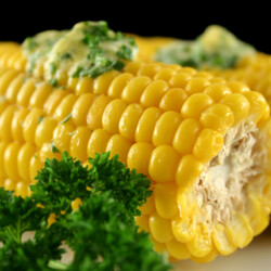 Corn on the Cob SousVide