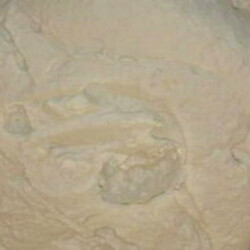 Крем для торта Наполеон – 10 самых вкусных рецептов