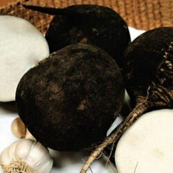 Квашеная редька - рецепт с фото на Повар.ру