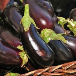 Горячий, как первый поцелуй, летний ужин: баклажаны по-итальянски. Ни на какой диете не сижу, просто очень люблю баклажаны