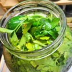 Быстрые малосольные огурцы на минералке