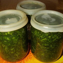 Щавель на зиму для пирогов