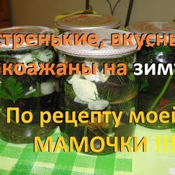 Баклажаны на зиму без заморочек, без стерилизации! Spicy eggplant for the winter without problems!