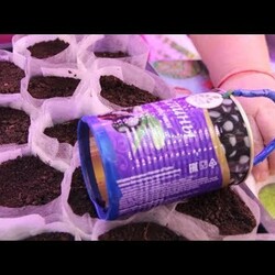 ЭТО ЖЕ НАДО ДО ТАКОГО ДОДУМАТЬСЯ! ЭТИ СТАКАНЧИКИ ДЛЯ РАССАДЫ  МОЖЕТ СДЕЛАТЬ ДАЖЕ РЕБЕНОК!