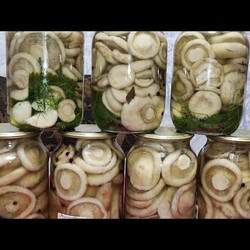 Маринованные грузди без горечи//два вкуса//