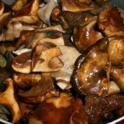 Как солить свинухи в домашних условиях вкусно и просто