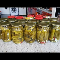 Огурцы на Зиму БЕЗ УКСУСА! БЕЗ КИПЯТКА! ОТВЕТЫ НА ВОПРОСЫ. Выпуск №533