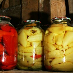 Перец для фарширования на зиму: как заморозить, замариновать и засолить для быстрого приготовления