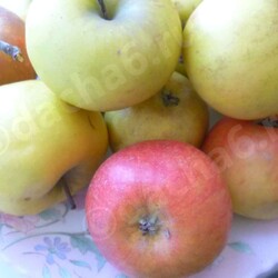 Яблочный сок с мякотью на зиму в домашних условиях