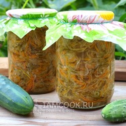 Салат из переросших огурцов на зиму — рецепт с фото