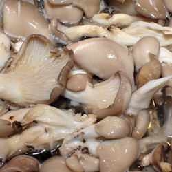 Элементарный рецепт пряных вешенок в маринаде: пучок зелени, много вкуса и мало мороки