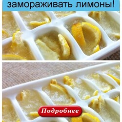 После увиденного вы будете всегда замораживать лимоны! - Коллекция домашних рецептов