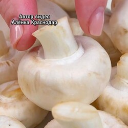 Идеальный рецепт маринованных грибов на праздничный стол