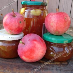 Яблочное варенье пошаговый рецепт с фото
