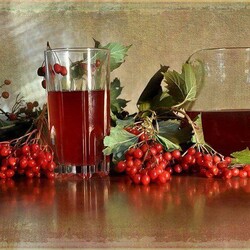 Как я приготовил домашний аналог элитной магазинной водки Finlandia на грейпфруте без сахара: делюсь процессом и рецептом