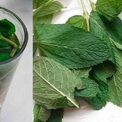 Как лечить печень - womenres.ru