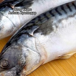 Идеальный рецепт маринованной скумбрии на праздничный стол