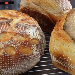 3 days of sourdough bread recipe! The best one!