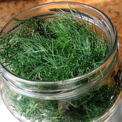 Как сохранить зелень свежей в холодильнике