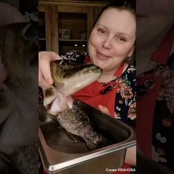 котлеты из речной рыбы