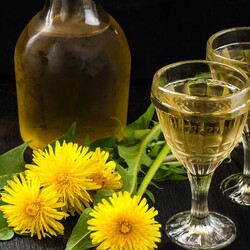Вино из одуванчиков по-домашнему - Образованная Сова