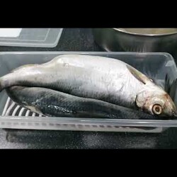 Солю селёдку только так. Магазинная рядом не стояла.