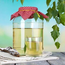 Березовый сок — 11 рецептов консервации и заготовки на зиму